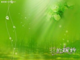 花的嫁纱