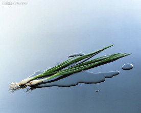 蔬菜水果特写