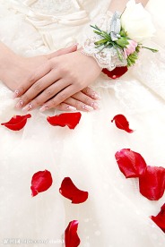 婚礼 新娘  婚品