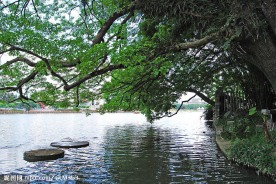 西湖风景