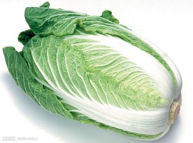 白菜