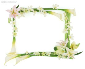 画框 相框 镜框 像框