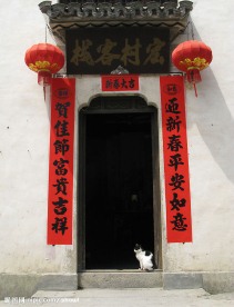 门与猫