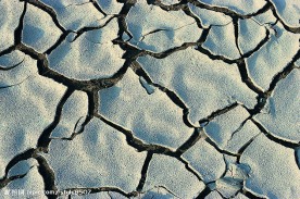干枯的土地