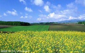 风景壁纸