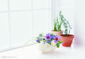 简洁生活家饰花9