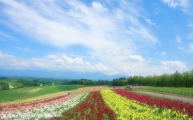 美丽风景