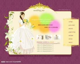 一个精美的网页模版