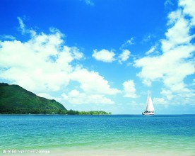 夏日海滩风景椰树