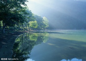 山水 树