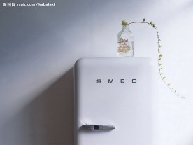 清新淡雅风格家居