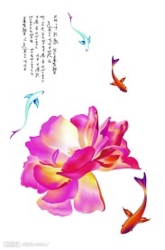 鱼戏