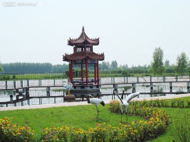 美丽风景
