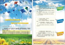 DM传单