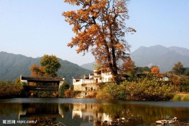 黄村秋色