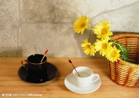 菊花 咖啡杯