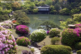 日本庭院风景