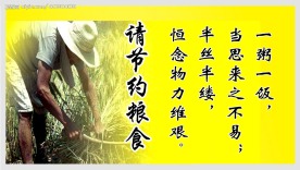 节约粮食