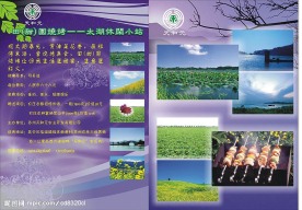 紫薯宣传单