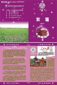 紫薯宣传单