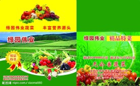 蔬菜包装箱