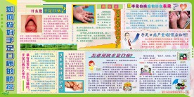 手足口病板报