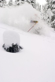 滑雪运动