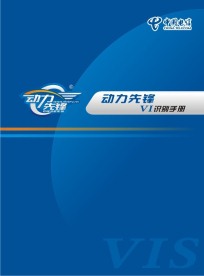 动力先锋VI手册