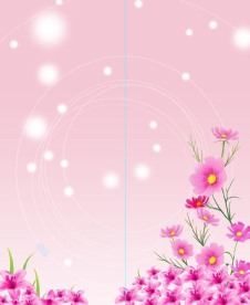 强化移门玻璃素材