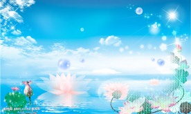 荷花风景