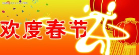 欢度新年