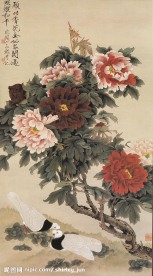 牡丹国画