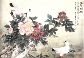牡丹国画