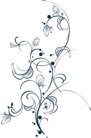 花纹 ps笔刷