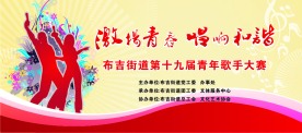 青年歌手大赛