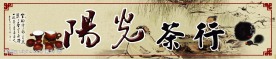 阳光茶叶