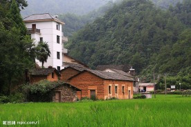 乡村即景