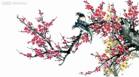 梅花图(已去底)