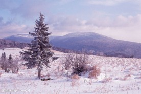 雪景图1