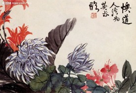 花卉