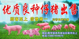 店招