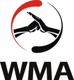 WMA 中国武术职业联赛 LOGO
