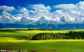天山草场