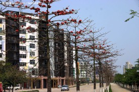 云浮风景