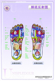 脚底反射图