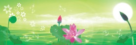 荷花风景