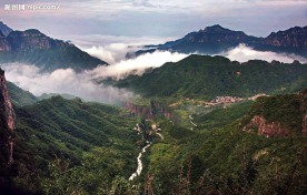 王莽岭风光