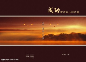 成功有另外一种力量书本封面