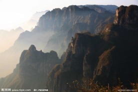王莽岭风光