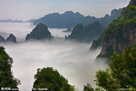 王莽岭风光